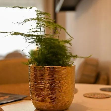 Four Season Thermal Apartamento